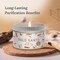 Magnificent 101 Long Lasting Palo Santo Smudge Candle | 6 Oz - 35-Hour Burn | Essential Oils, 100% Natural Ingredients | Smoke Free, Petroleum Free Candle to Cleanse Your Home